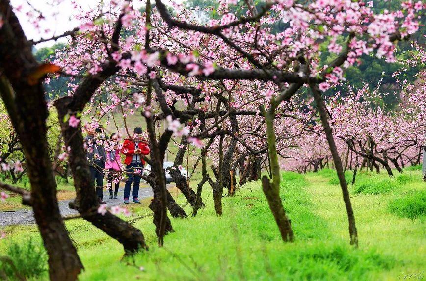 菏泽市定陶区人民法院召开2023年度述职述廉述党建会议